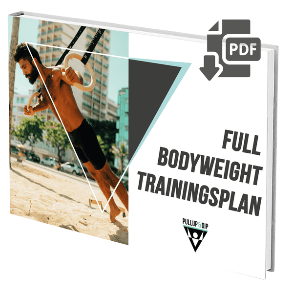 Full body bodyweight training plan [PDF] available in English